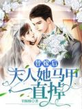 替嫁后夫人她马甲一直掉