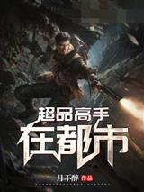 超品高手在都市