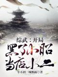 综武开局黑了小昭当店小二