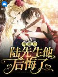 离婚后陆先生他后悔了南溪陆见深
