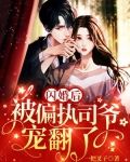 闪婚后，被偏执司爷宠翻了