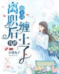 离职后我被前上司缠上了（又名：渣总裁今天后悔了吗）