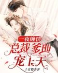 一夜缠情：总裁爹地宠上天