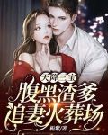 天降三宝：腹黑渣爹追妻火葬场