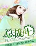 总裁在上（电视剧名：一念时光）