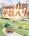 重生九零：我的逆袭人生