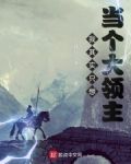我其实只想当个大领主