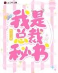 我是总裁秘书