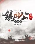 大清：从镇国公开始到皇帝
