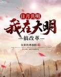日月共明：我在大明搞改革