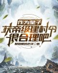作为皇子，获帝级建村令很合理吧