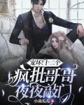 宠坏！十二个疯批哥哥夜夜敲门
