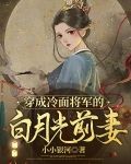 穿成冷面将军的白月光前妻