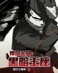 神奇宝贝：黑暗王座