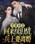 老婆初恋回来续旧情，兵王要离婚