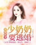 替嫁娇妻：少奶奶要逃婚