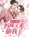 报告爹地：妈咪又来偷我了