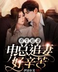 重生宠妻：申总追妻好辛苦
