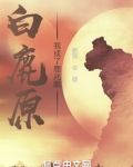 白鹿原，我成了鹿兆鹏