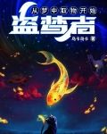 盗梦者：从梦中取物开始