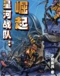 星河战队：崛起
