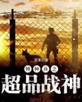 特种兵之超品战神