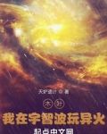 木叶：我在宇智波玩异火