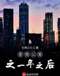 爱情公寓之一年之后