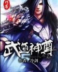 武道神尊秦鸿沈碧嫣