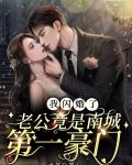 我闪婚了老公竟是南城第一豪门