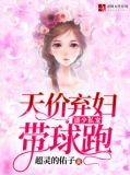盛少私宠：天价弃妇带球跑
