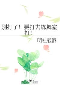 别打了！要打去练舞室打！
