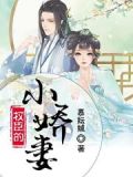 权臣的小娇妻
