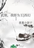 此刻，我即为王[西幻]