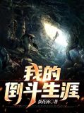 我的倒斗生涯胡跃进