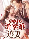 萌宝归来：渣爹难追妻颜冉