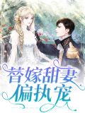 替嫁甜妻偏执宠傅晏清
