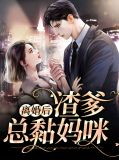离婚后渣爹总黏妈咪湛南州