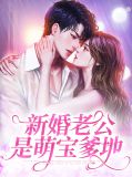 新婚老公是萌宝爹地