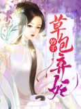 妙手草包弃妃赫连瑾