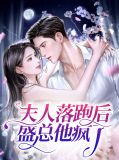 夫人落跑后盛总他疯了叶雨舒