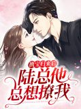 携宝归来后，陆总他总想撩我莫晓蝶