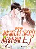 闪婚后被霸总家的萌娃缠上了穆烟傅安