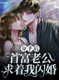 分手后首富老公求着我闪婚安然