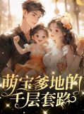 萌宝爹地的千层套路慕初瑾