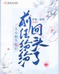 大小姐失忆后，前任纷纷回头了