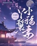 丫鬟小福妻