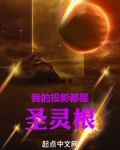 我的投影都是圣灵根