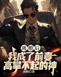 离婚后，我成了前妻高攀不起的神
