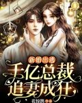 新婚出逃：千亿总裁追妻成狂